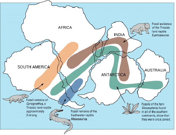 Quelques zones de répartition de fossiles, en accord avec le déplacement des plaques terrestres