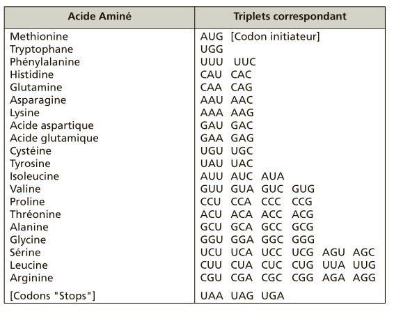 code_genetique.png
