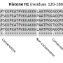 histone_alignment.png