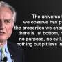 dawkins-indifference.jpg